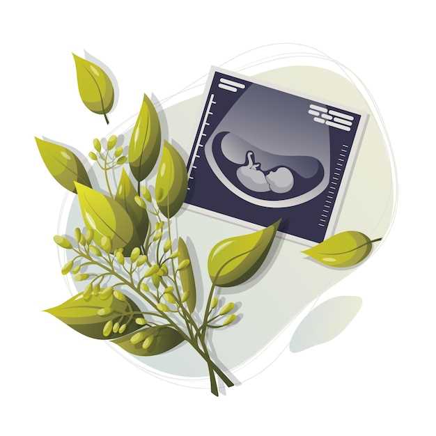 Традиционная медицина и ее влияние на фертильность и репродуктивное здоровье
